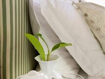 Accommodation:&nbsp;Piccolo