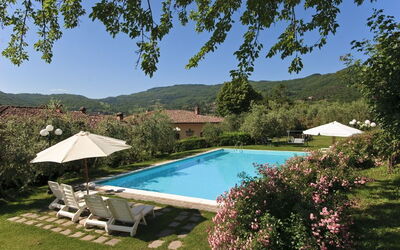 Main swimming pool and gardens