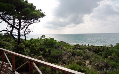 The view from the terrace