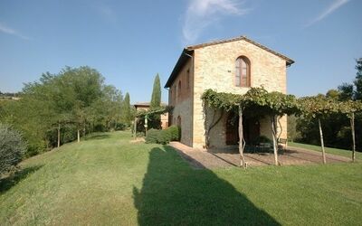 Lavanda - Montefoscoli, Tuscany, Italy - Lavanda 1