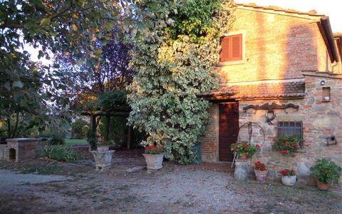 Fattoria la Gabola: Plant, Building, Window, Flowerpot, Leaf, Vegetation, Road Surface, House, Biome, Tree