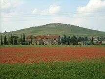 Accommodation:&nbsp;Gatto