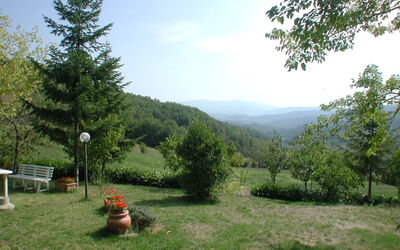 Accommodation:&nbsp;La Falcionaia