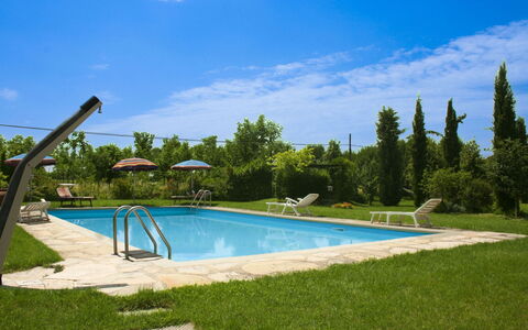 Pozzonovo: Blue, Swimming Pool, Outdoor Furniture, Leisure, Resort, Shade, Sunlounger, Garden, Eco Hotel, Landscaping