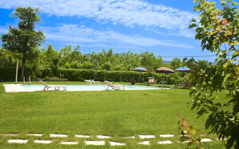 Pozzonovo: Land Lot, Lawn, Garden, Meadow, Swimming Pool, Shade, Outdoor Furniture, Park, Landscaping, Yard