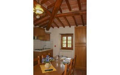 Accommodation:&nbsp;Il Susino