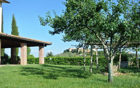 Nonno Tobia: Sky, Plant, Green, Natural Landscape, Tree, Land Lot, Grass, Vegetation, Shade, Grassland