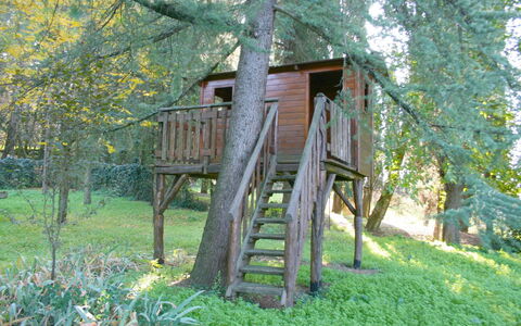 Olivo: Plant, Tree, Wood, Natural Landscape, Trunk, Biome, Grass, Building, Ladder, Rural Area