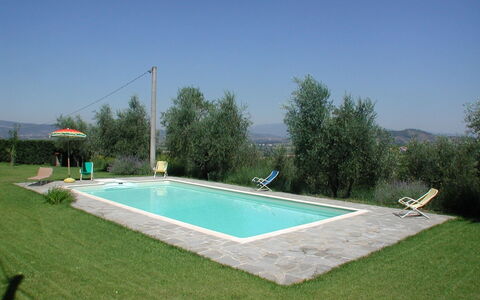 Olivo: Sky, Water, Plant, Building, Land Lot, Rectangle, Shade, Leisure, Grass, Swimming Pool