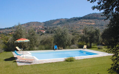 Olivo: Water, Sky, Plant, Swimming Pool, Mountain, Shade, Rectangle, Tree, Land Lot, Outdoor Furniture