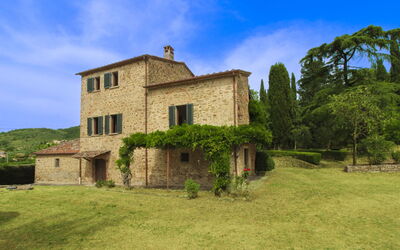 Olivo - Arezzo, Tuscany, Italy