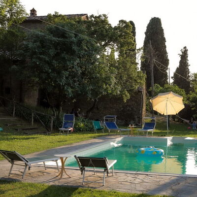 Olivo: Water, Plant, Sky, Green, Swimming Pool, Tree, Shade, Outdoor Furniture, Grass, Building