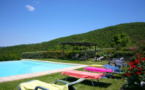 Torre di Vignale: Sky, Water, Plant, Natural Landscape, Swimming Pool, Outdoor Furniture, Vegetation, Body Of Water, Shade, Grass