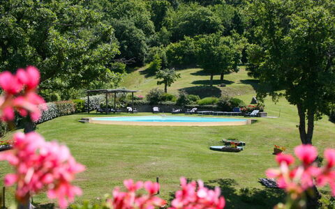 Torre di Vignale: Flower, Plant, Botany, Water, Tree, Nature, Petal, Natural Landscape, Vegetation, Grass