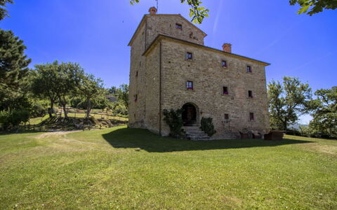 Torre di Vignale: Tree, Landscape, Land Lot, Rural Area, Park