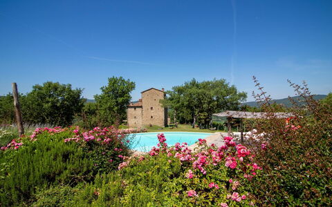 Torre di Vignale: Tree, Landscape, Land Lot, Rural Area, Park