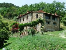 Fattoria Pietrabuona - Podere Cima a Zano