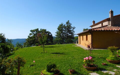 Casa la Primula: Sky, Plant, Property, Window, Building, Flowerpot, Tree, Flower, Natural Landscape, Land Lot
