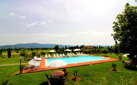 Podere Marcigliano: Sky, Plant, Cloud, Swimming Pool, Natural Landscape, Tree, Shade, Land Lot, Leisure, Grass