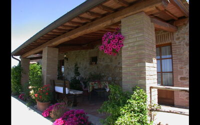 Accommodation:&nbsp;Ponente
