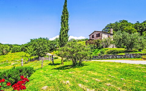 Casalini: Natural Landscape, Shrub, Landscape, Rural Area, Garden, Land Lot, Groundcover, Cottage, Meadow