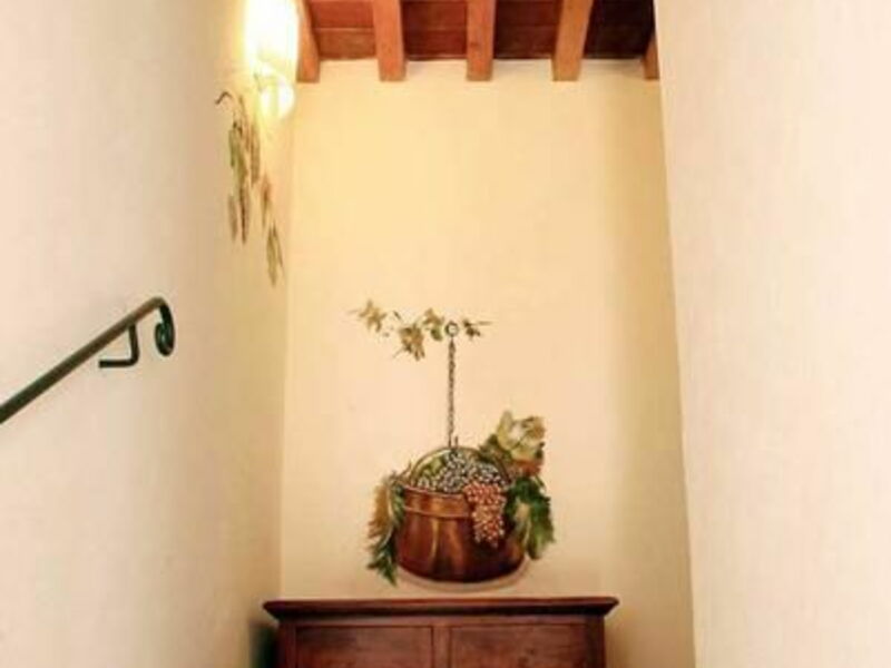 Accommodation:&nbsp;Vite