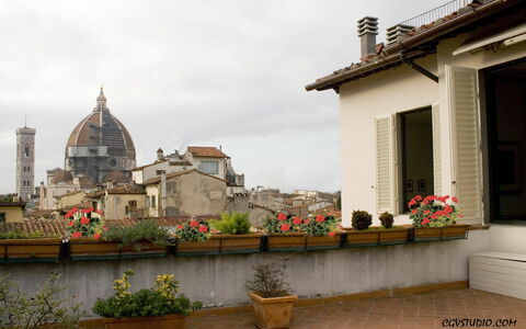 View from the Terrace