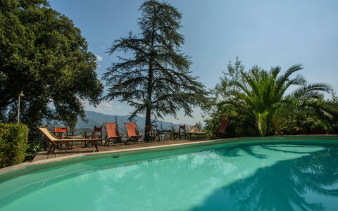 Villa Pedone: Water, Sky, Plant, Property, Swimming Pool, Natural Landscape, Tree, Arecales, Leisure, Real Estate