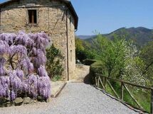 Farmhouse with shared swimmingpool Tuscany