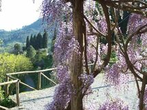 Fattoria Pietrabuona - Podere Villa