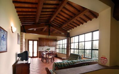 Accommodation:&nbsp;Girasole