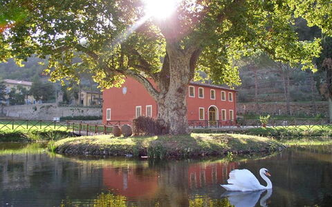 Villa Felice