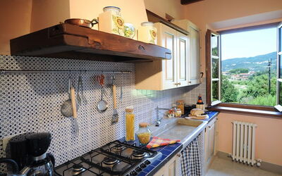 Accommodation:&nbsp;Camelia
