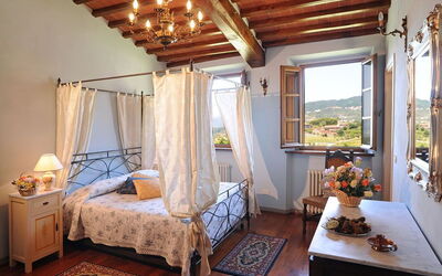 Accommodation:&nbsp;Camelia
