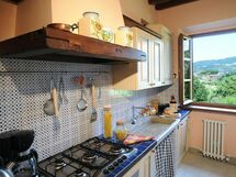 Accommodation:&nbsp;Camelia