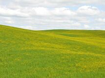 Accommodation:&nbsp;Pio Secondo