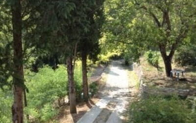 Fattoria Dell'orto Degli Ulivi