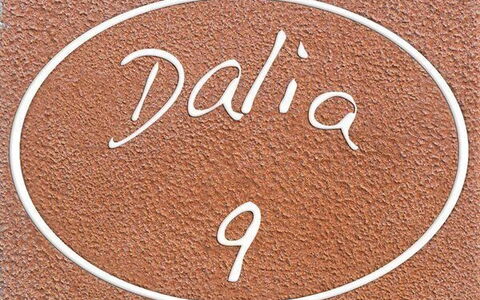 Accommodation:&nbsp;Dalia