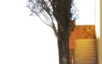 Accommodation:&nbsp;Ortensia
