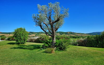 Saturnia 9