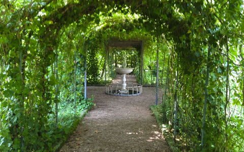 Villa Quattro Mori: Garden, Lawn, Landscaping, Shade, Outdoor Furniture, Park, Hacienda, Estate, Yard, Eco Hotel