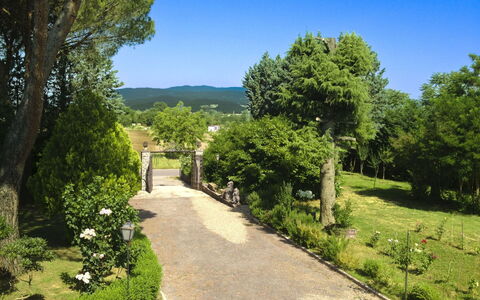 Villa Quattro Mori: Garden, Lawn, Landscaping, Shade, Outdoor Furniture, Park, Hacienda, Estate, Yard, Eco Hotel