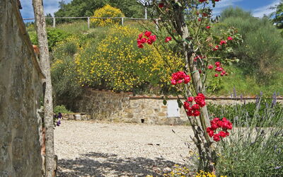 Farmhouse Il Corso