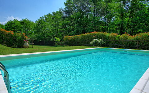 Casa Ovile: Water, Plant, Sky, Swimming Pool, Green, Azure, Rectangle, Shade, Tree, Grass