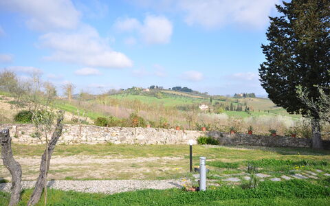 Capannino: Land Lot, Pasture, Meadow, Grass, Tree, Grass Family, Rural Area, Sky, Grassland, Spring