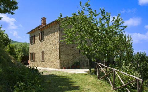 Casetta i Ciliegi: Garden, Cottage, Farmhouse, Shade, Landscaping, Estate, Yard, Backyard, Stone Wall, Hacienda