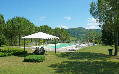 Martino