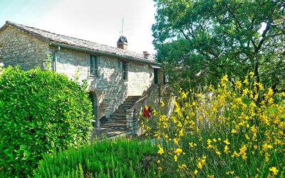 Martino - Mantignana, Umbria, Italy - Martino 1