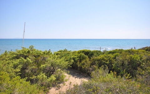 Casamare: Vegetation, Sea, Shore, Coast, Natural Environment, Beach, Ocean, Shrubland, Sky, Plant Community