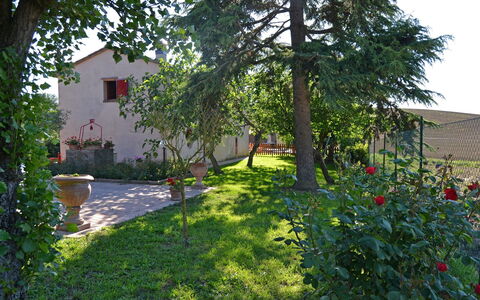 Casa Laura: Property, Yard, House, Garden, Backyard, Tree, Home, Building, Real Estate, Cottage